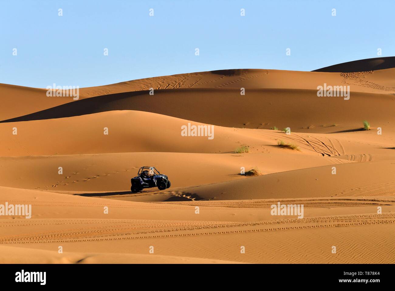 Maroc, région du Tafilalet, Merzouga, erg Chebbi dunes Banque D'Images