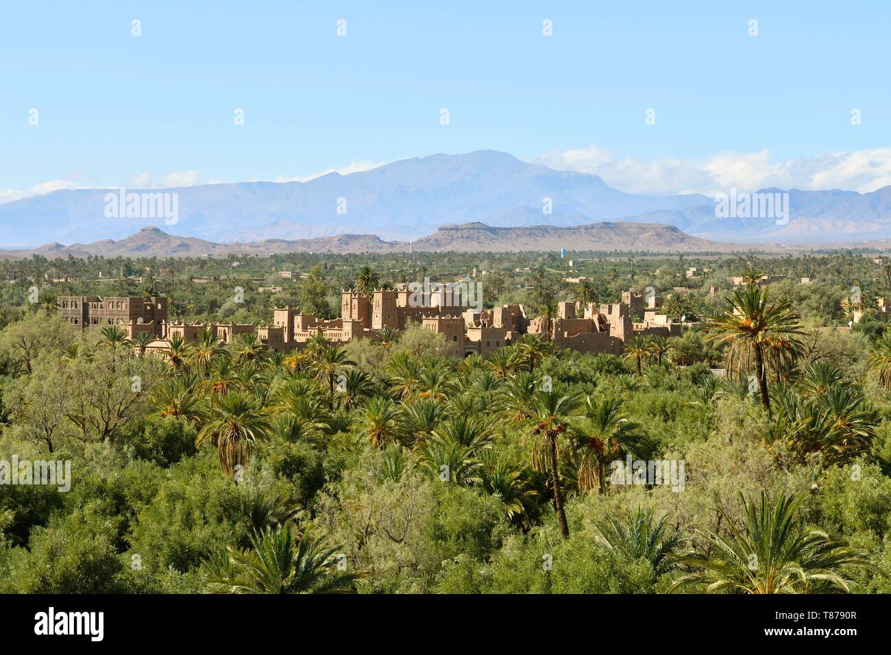 Maroc, Région de Souss-Massa-Draa, Haut Atlas, vallée du Dadès, Ouarzazate, Skoura près de l'Oasis Skoura, Skoura Palmeraie, Kasbah Amerhidil Banque D'Images