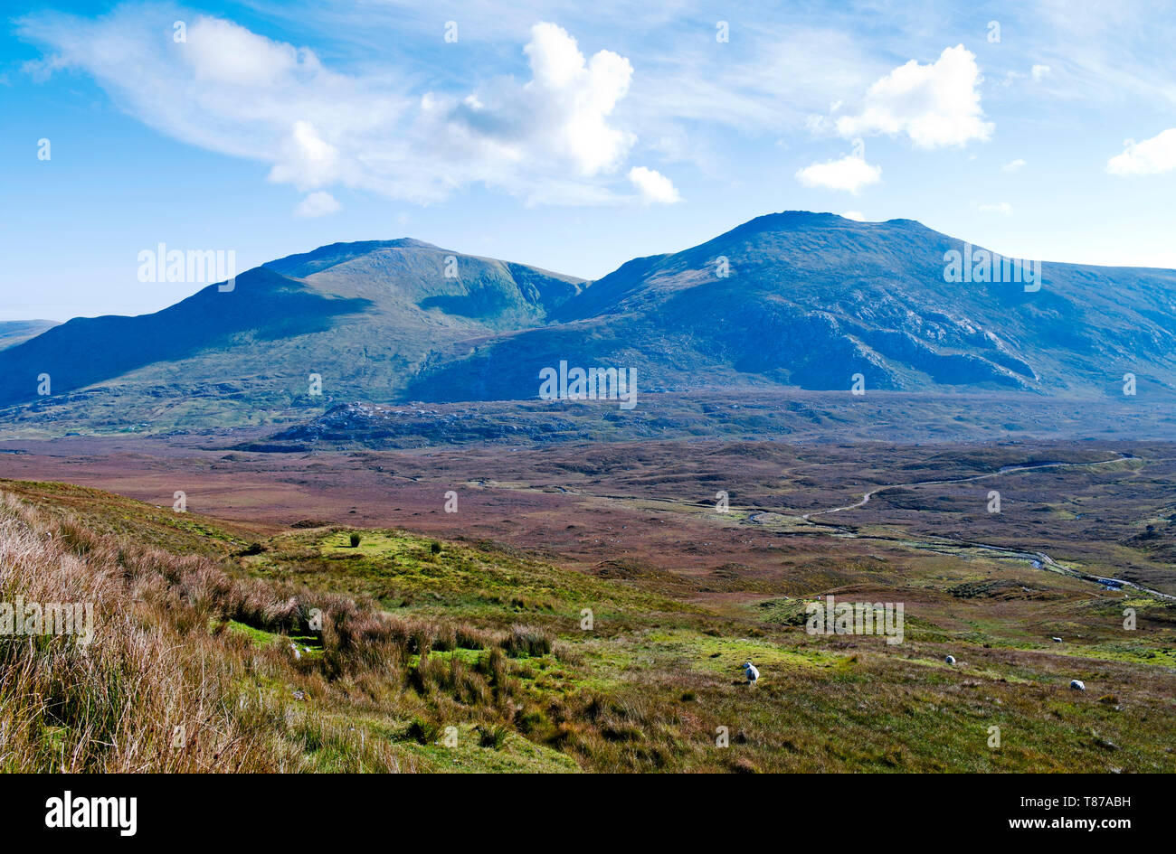 Vue sur high moorland pour Spionnaidh Cranstackie Beinn et, de l'A838 route sur la côte nord, route 500 Sutherland, Highlands écossais au Royaume-Uni. Banque D'Images