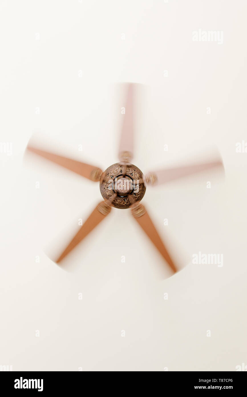 Ventilateur de plafond intérieur Banque D'Images