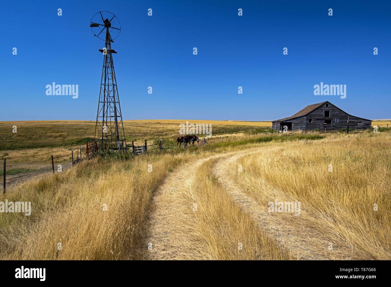 United States, North Dakota, maison abandonnée près du village de Nouvelle Angleterre Banque D'Images