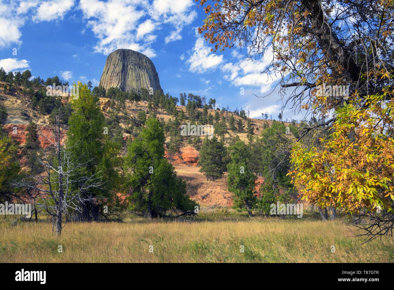 United States, Wyoming, le Devils Tower est une montagne sacrée depuis plus de vingt tribus indiennes et a été utilisée dans le film Rencontre du troisième type Banque D'Images