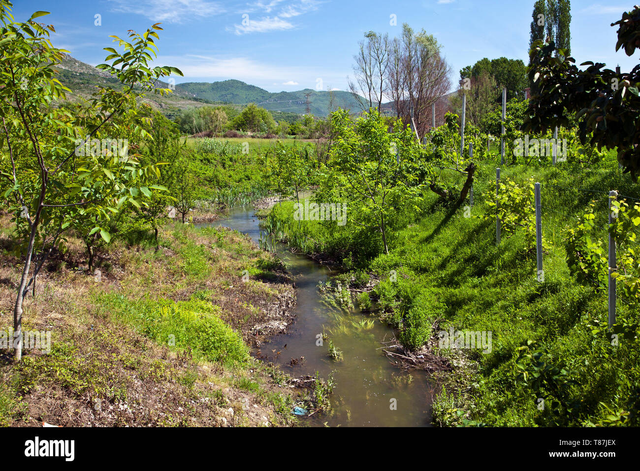 Monténégro Paysage, Albanie, Bosnie-Herzégovine, Macédoine, Croatie Banque D'Images