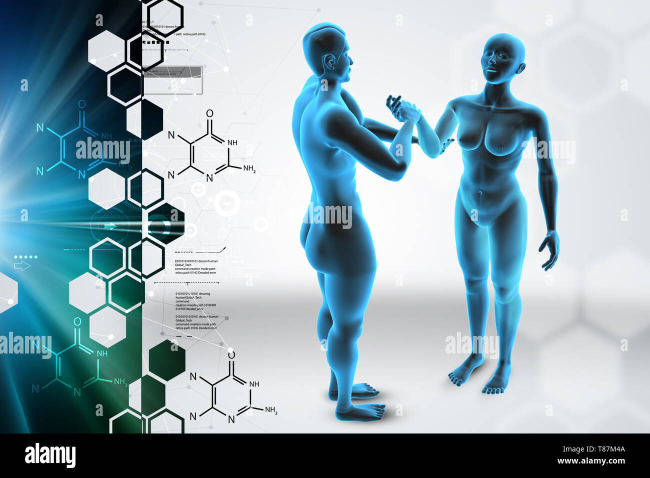 Hommes et femmes 3d body Banque D'Images