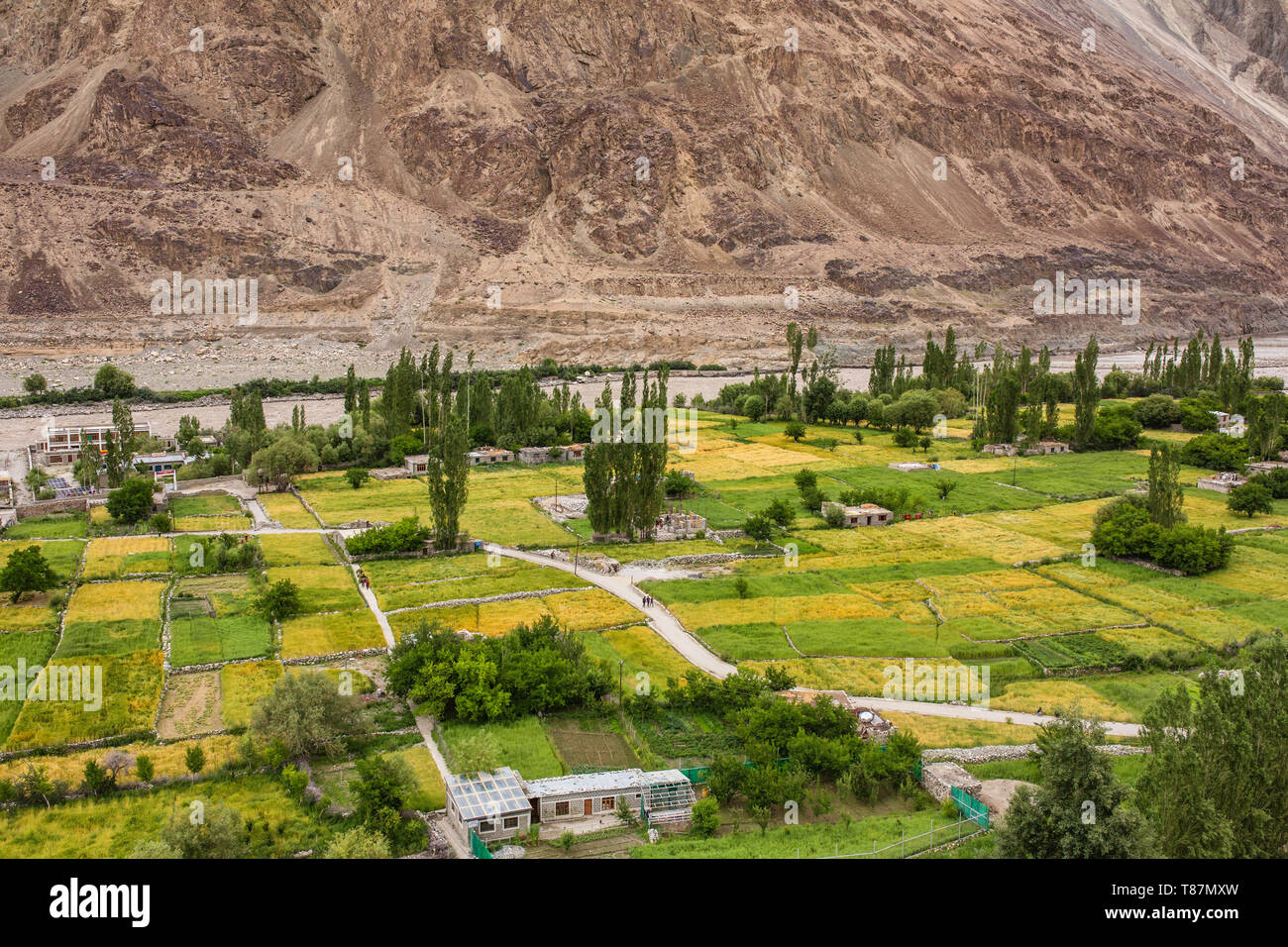 Vue sur la vallée et le Turtuk fleuves Shyok river au Ladakh, Inde Banque D'Images