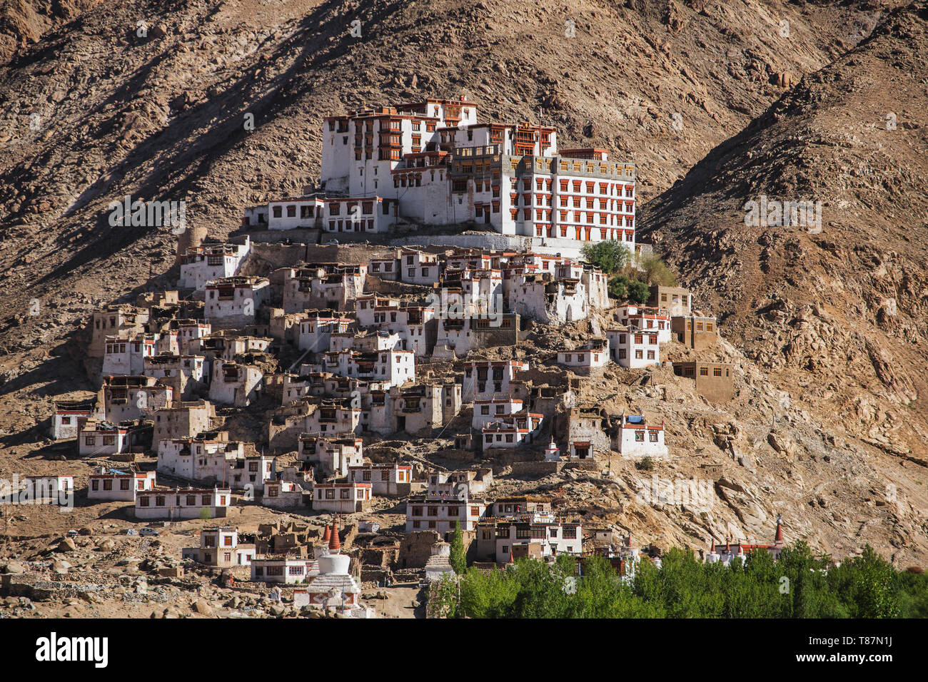 Chemre gompa monastère bouddhiste au Ladakh, Inde Banque D'Images