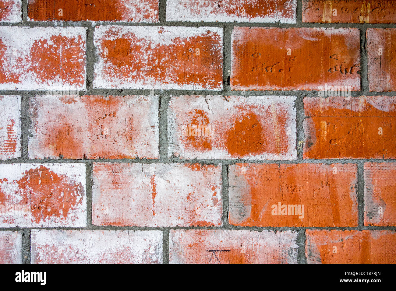 Mur de brique rouge de maison nouvellement construite montrant les taches blanc revêtement / en raison de l'efflorescence, la migration de sel à la surface d'un matériau poreux Banque D'Images