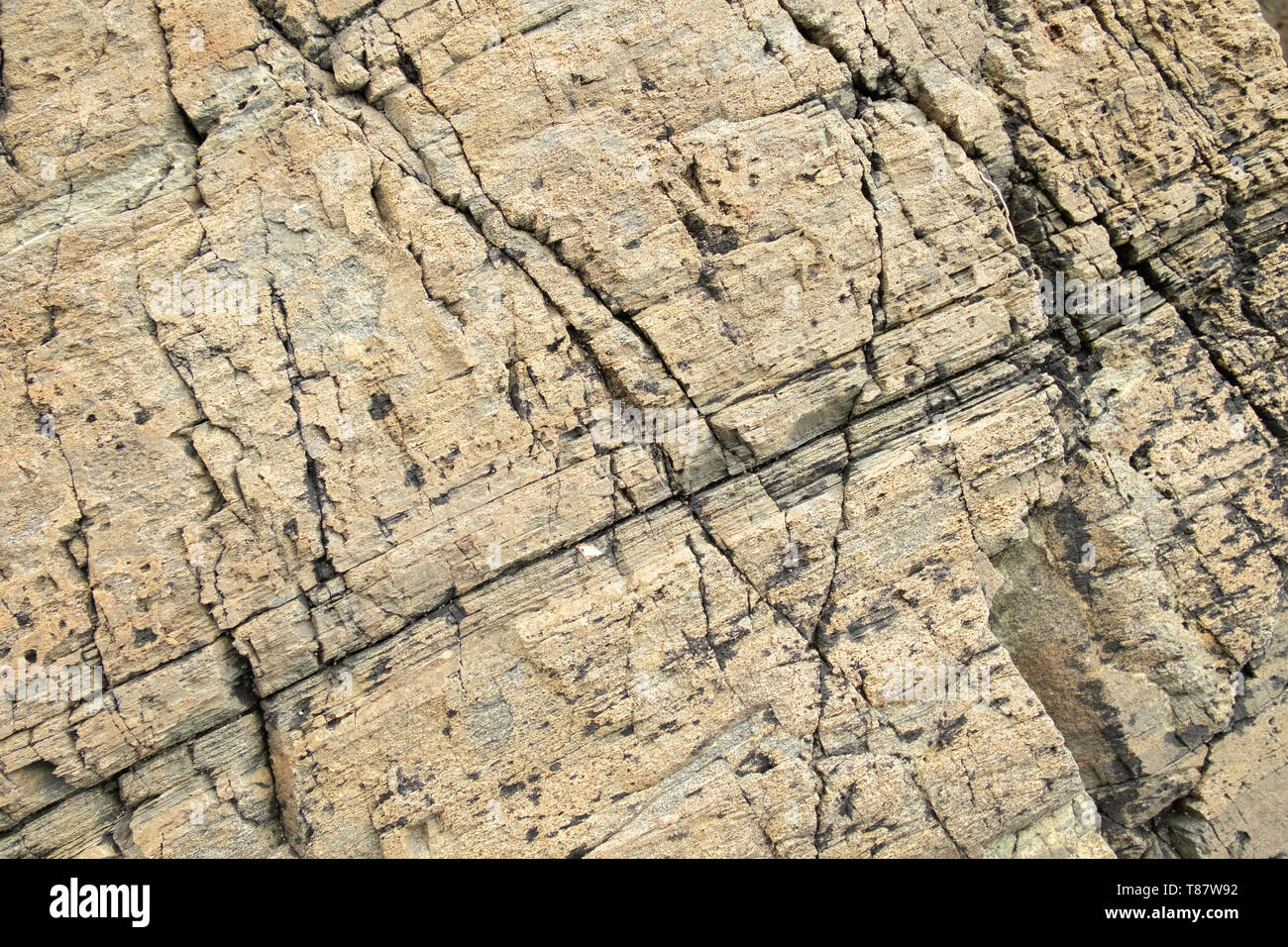 Gros plan de la surface de roche gris-brun avec fissures Banque D'Images