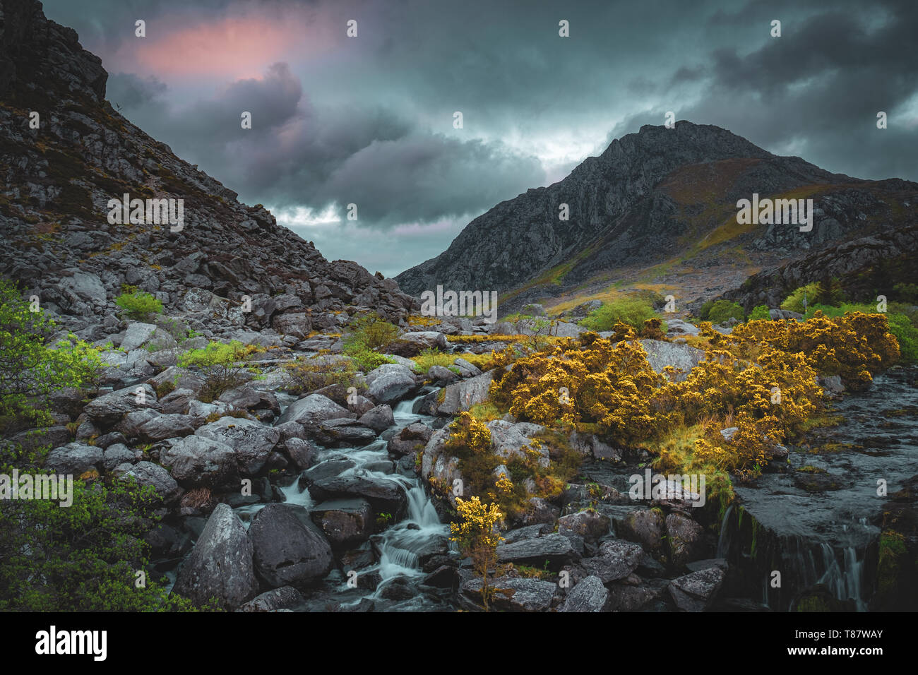 Tryfan Mountain et d'Afon Ogwen, Snowdonia, le Nord du Pays de Galles Banque D'Images