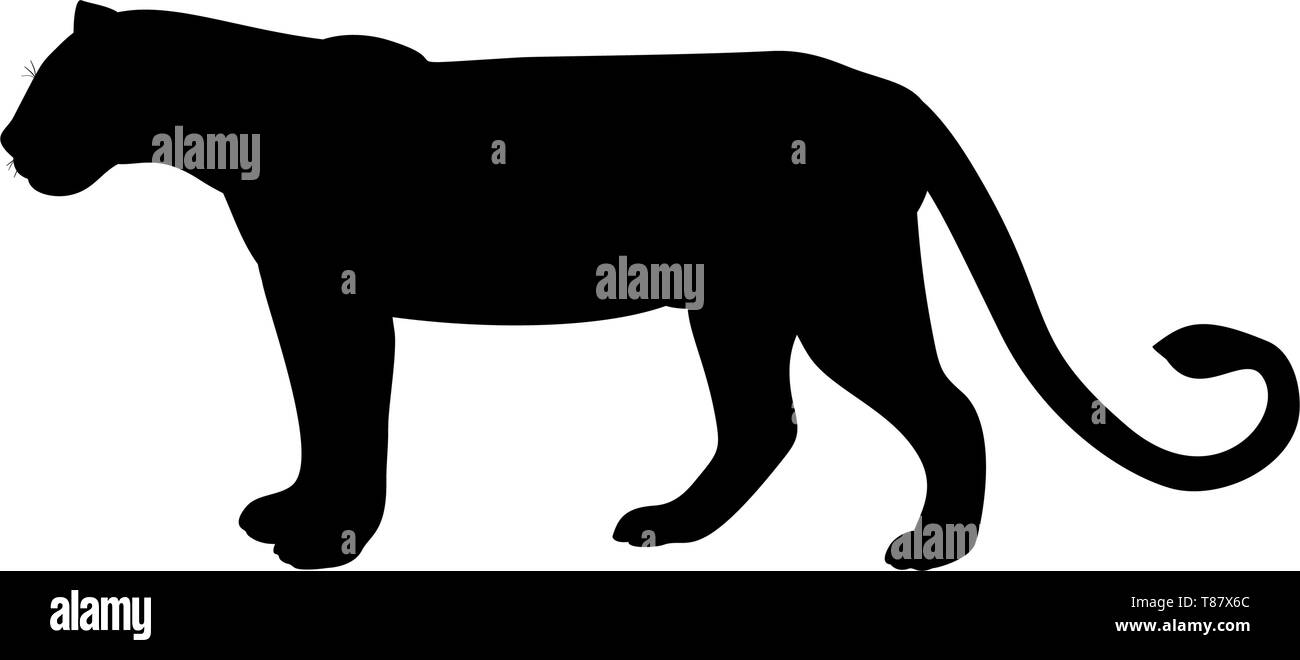 Lionne animal prédateur silhouette noire Illustration de Vecteur