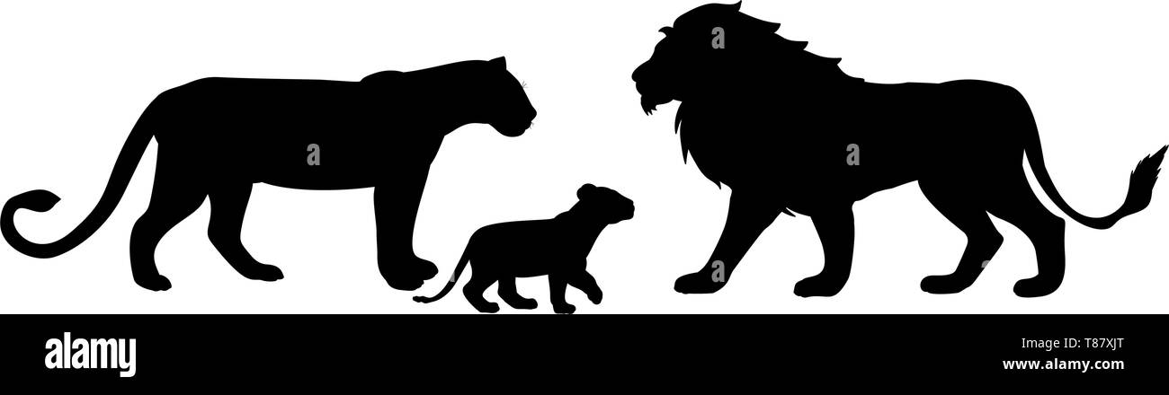 La famille Lions animal prédateur silhouette noire Illustration de Vecteur