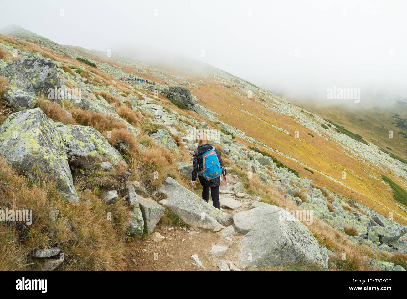 Vue arrière du touriste dans les montagnes Banque D'Images