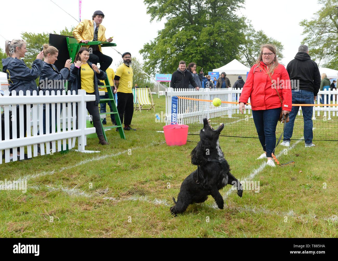 Lizzi Snoddon et son chien AR'fa Profitez du premier jour de DogFest 2019 à Knebworth House dans le Hertfordshire. Banque D'Images