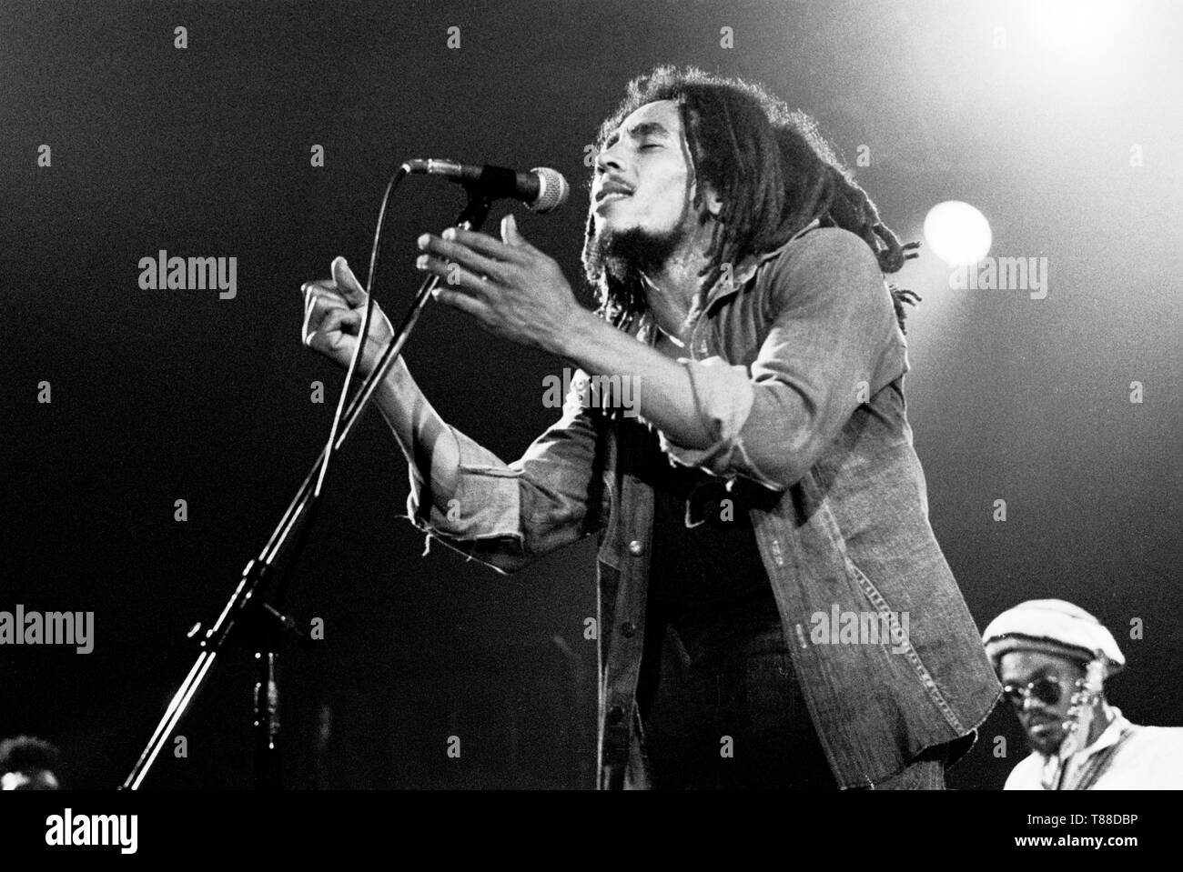 1976 Bob Marley, La Haye (Pays-Bas), Voorburg, Den Haag, Pays-Bas - 1976, (Photo Gijsbert Hanekroot) *** légende locale *** Bob Marley et les Wailers Banque D'Images