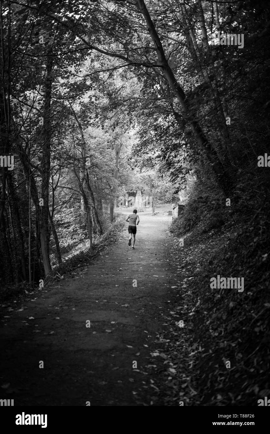 Un coureur solitaire de luttes la feuille d'automne bordée voie sur la rive ouest de la rivière porter sur son chemin vers le pont et la cathédrale. Banque D'Images