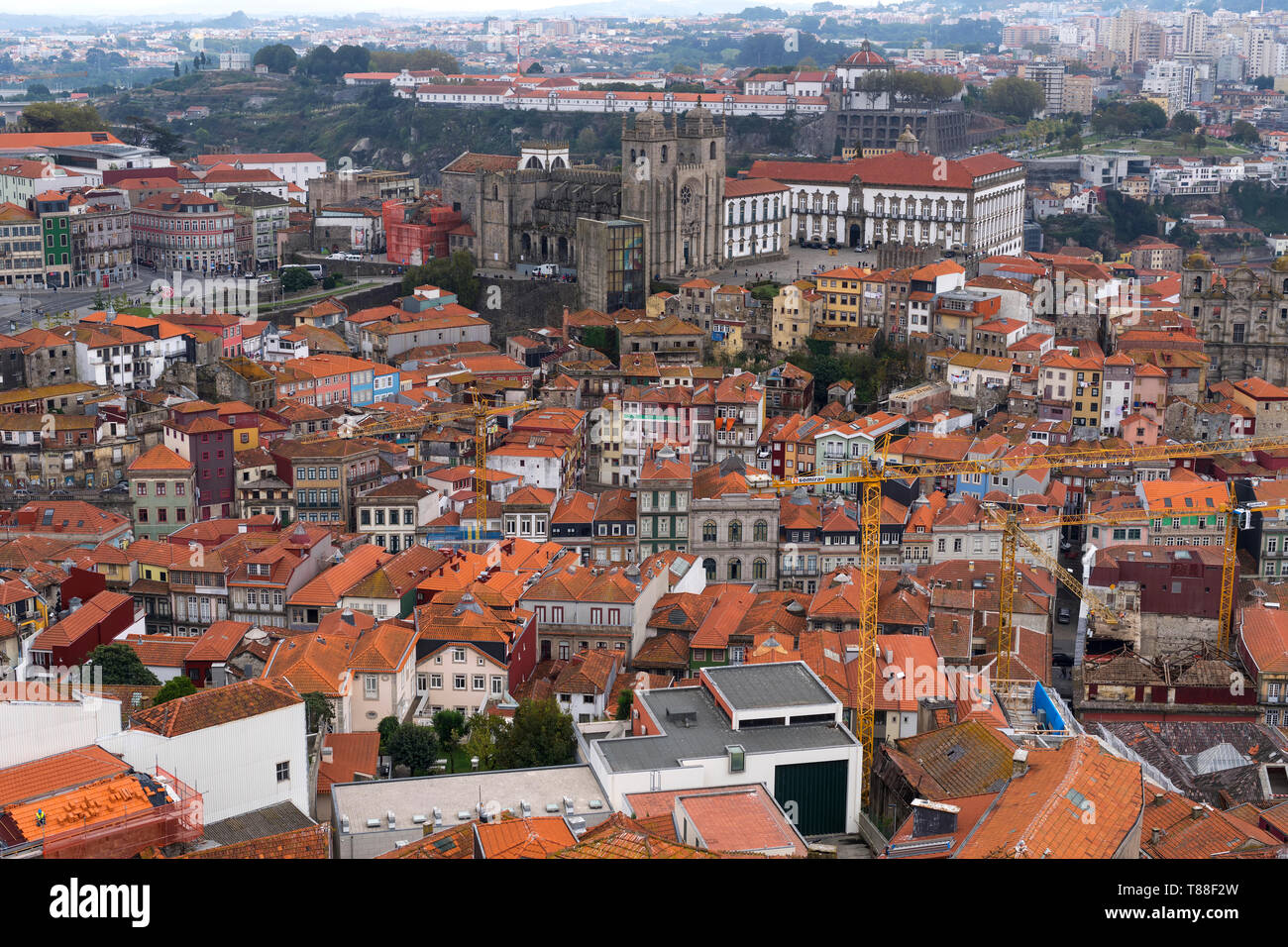 Toits de la vieille ville de Porto, vue depuis la Tour Clérigos. Porto, Portugal Banque D'Images