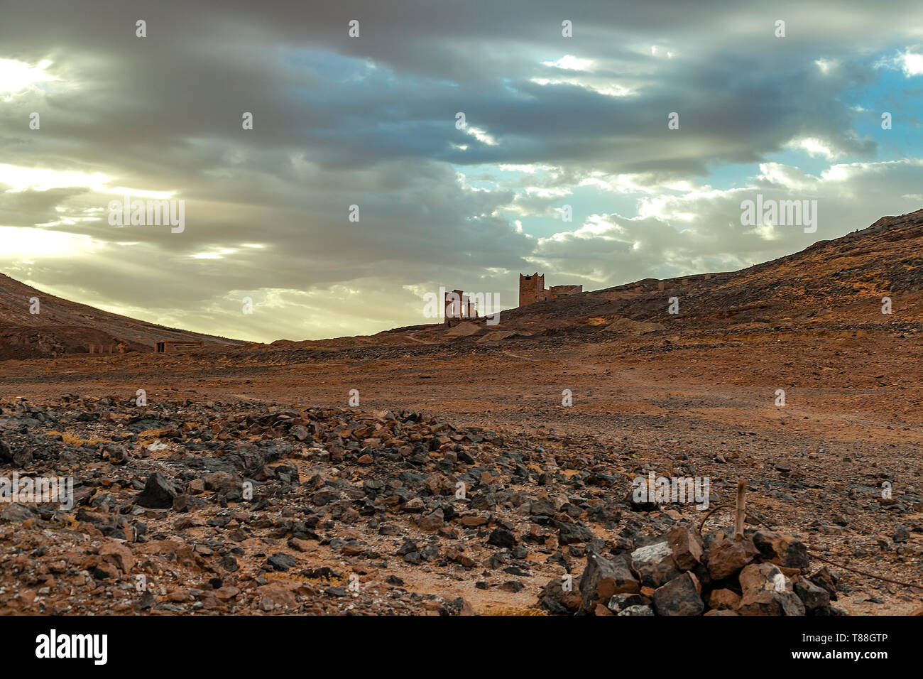 Hamada du Draa, désert de pierre marocain à l'aube dans l'avant-plan, les montagnes en arrière-plan, Maroc Banque D'Images
