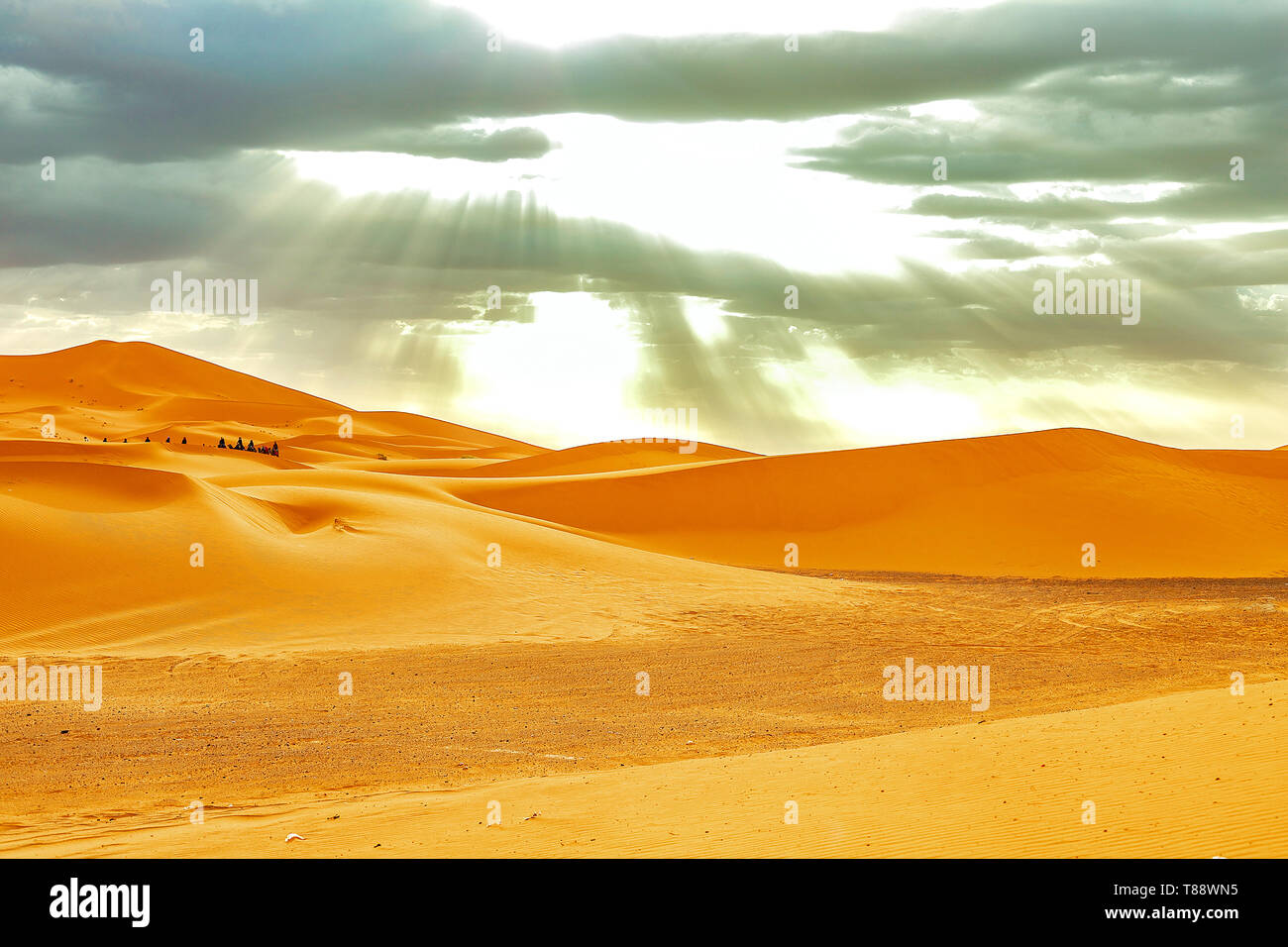 Caravane en passant par les dunes de sable dans le désert du Sahara, Maroc Banque D'Images