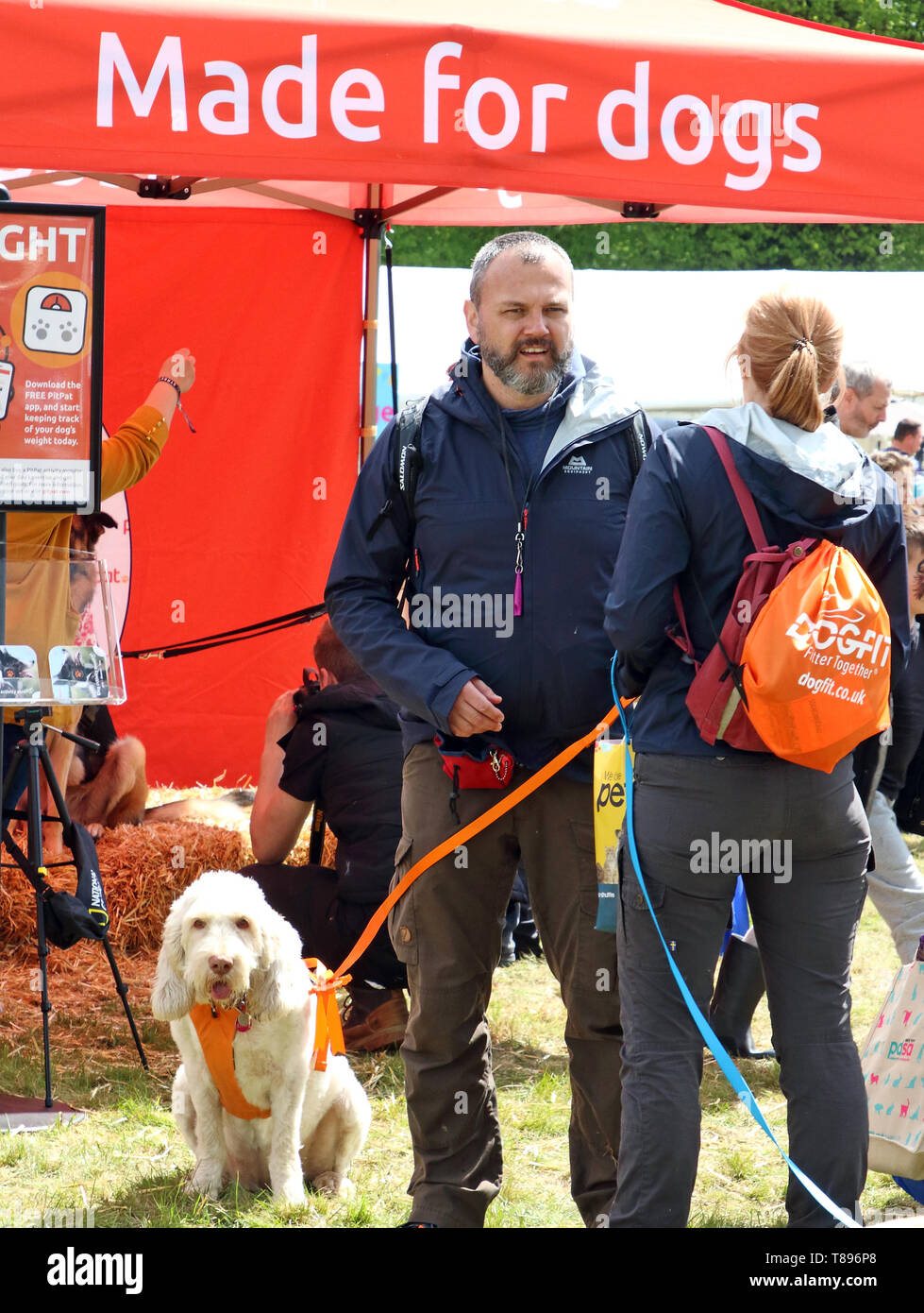 Les amateurs de chiens sont vus découvrir les sites au cours de l'Dogfest 2019 à Knebworth Park. Banque D'Images