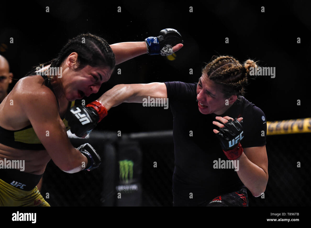 UFC 237 : NAMAJUNAS vs ANDRADE - Fighters Irene Aldana (gant rouge) et Bethe Correia (gant bleu) durant l'UFC 237 carte préliminaire lutte à Jeunesse Arena, Rio de Janeiro. Janvier. Photo : Thiago Ribeiro / AGIF Banque D'Images