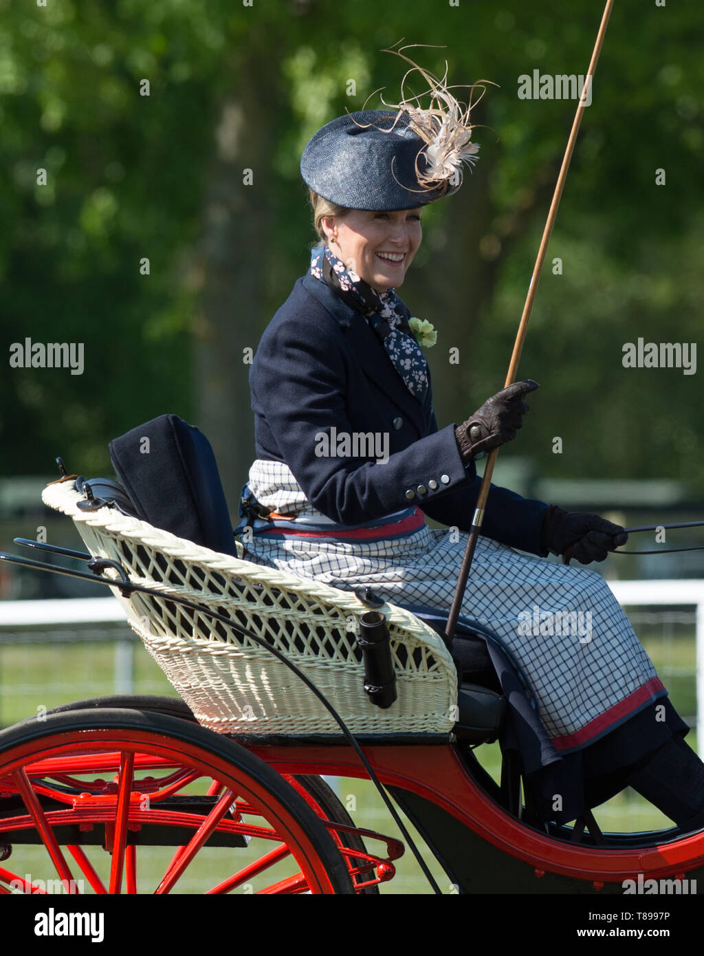 Windsor, Royaume-Uni. 12 mai, 2019. Sophie Wessex carriage driving au Royal Windsor Horse Show. Credit : Maureen McLean/Alamy Live News Banque D'Images