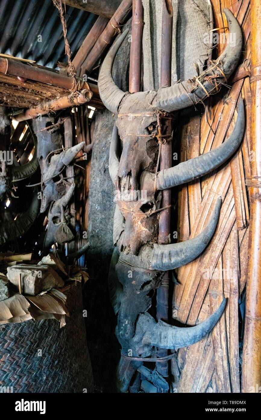 L'Inde, de l'Arunachal Pradesh, Lazu, tribu de l'OLO, têtes de bison à King's Wanggap Lawang's house Banque D'Images