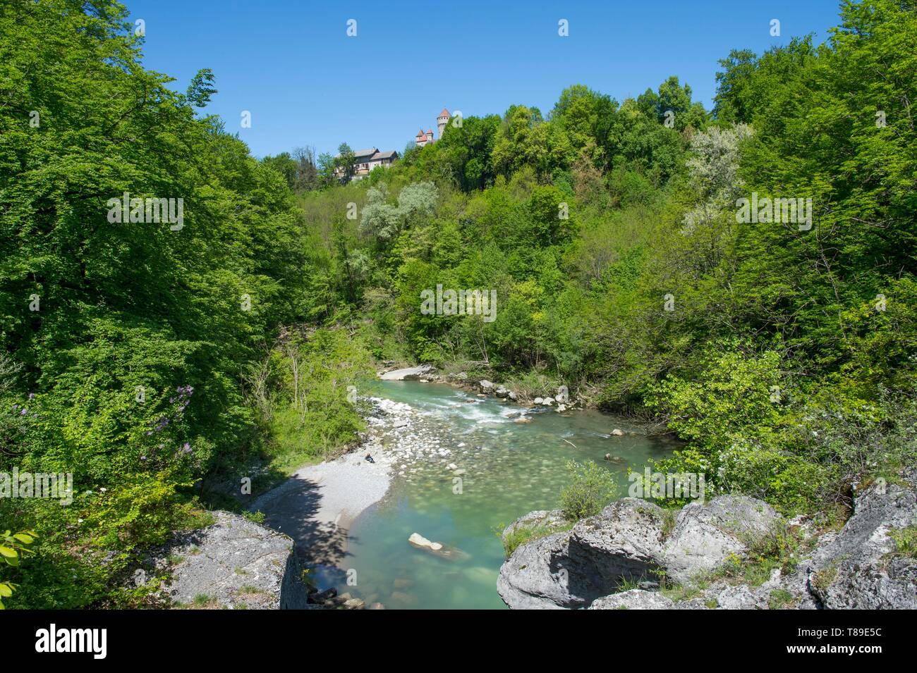 En France, en Haute Savoie, près d'Annecy la curiosité naturelle des Gorges du Fier, la rivière avant les gorges au niveau du pont de liasses et les tours du château de Montrottier Banque D'Images
