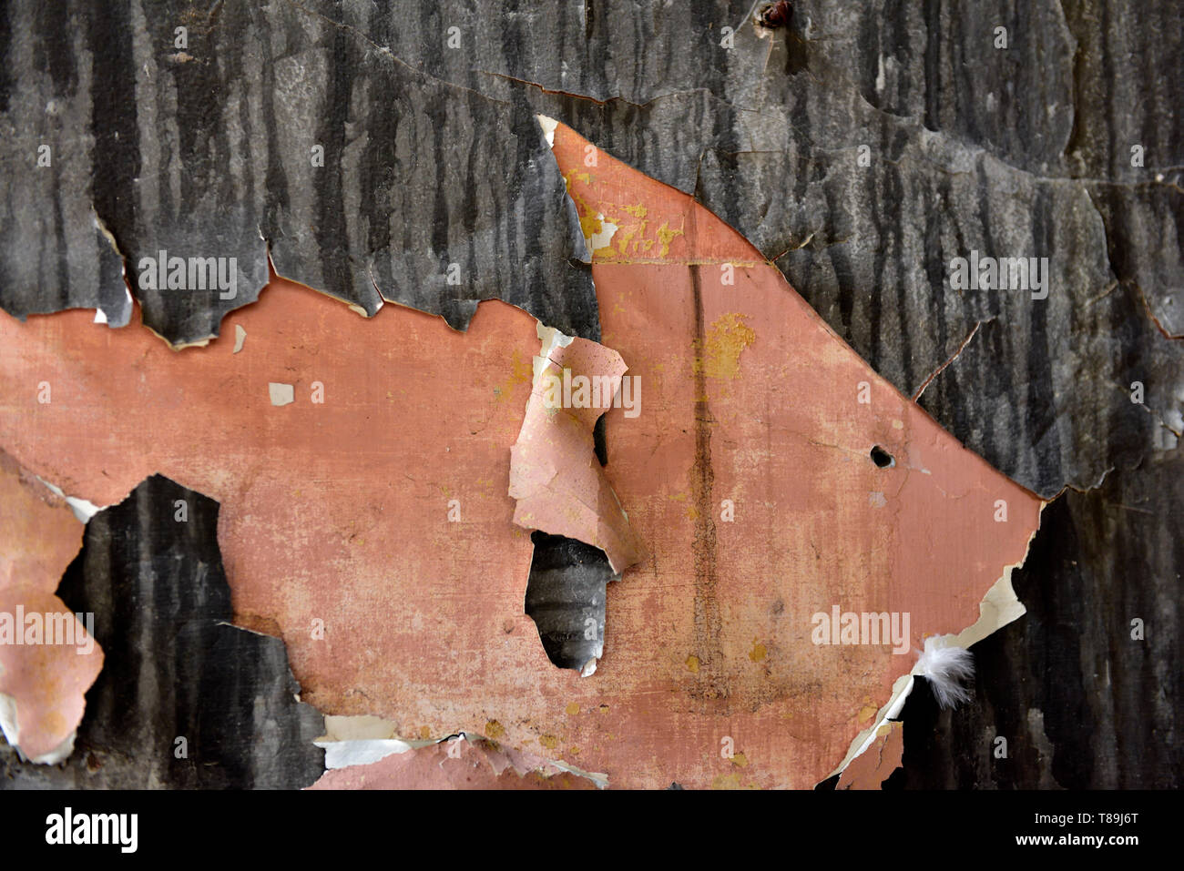 La peinture écaillée au large de paroi Banque D'Images
