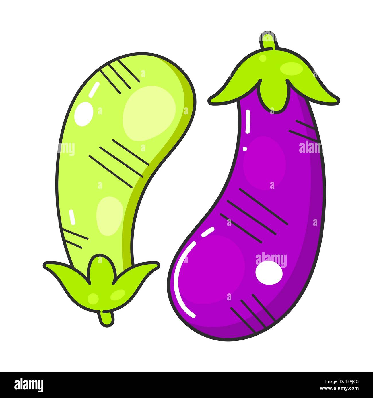 Les courgettes vertes et violettes vector illustration sur fond blanc Illustration de Vecteur