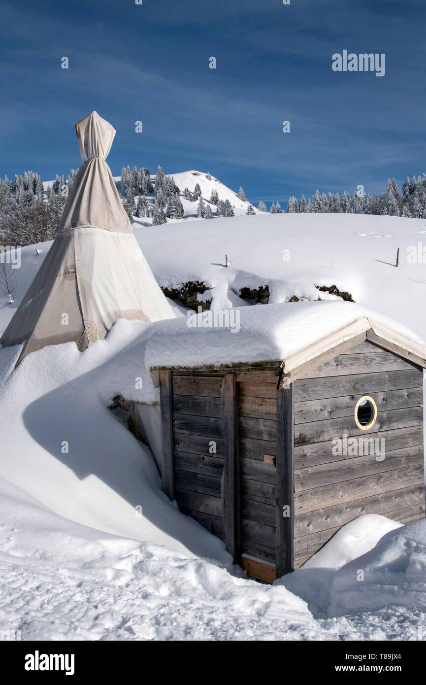 France, Jura, GTJ Grande Traversée du Jura en raquettes, tipis du Berbois cottage au pied du Lion supportés Banque D'Images