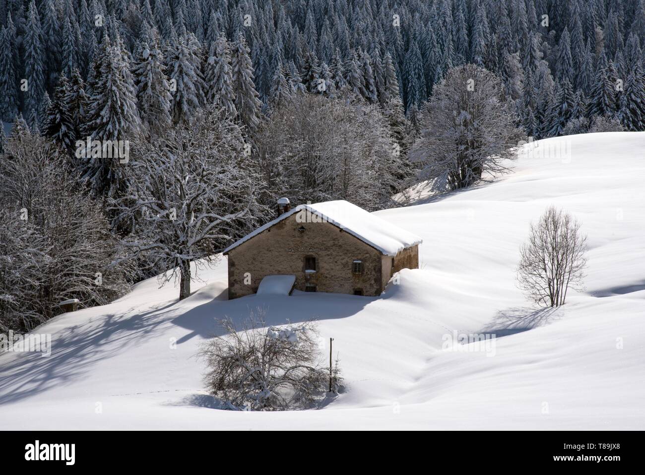 France, Jura, GTJ Grande Traversée du Jura en raquettes, sur le côté de la charge Lion et le hameau de Magras Banque D'Images
