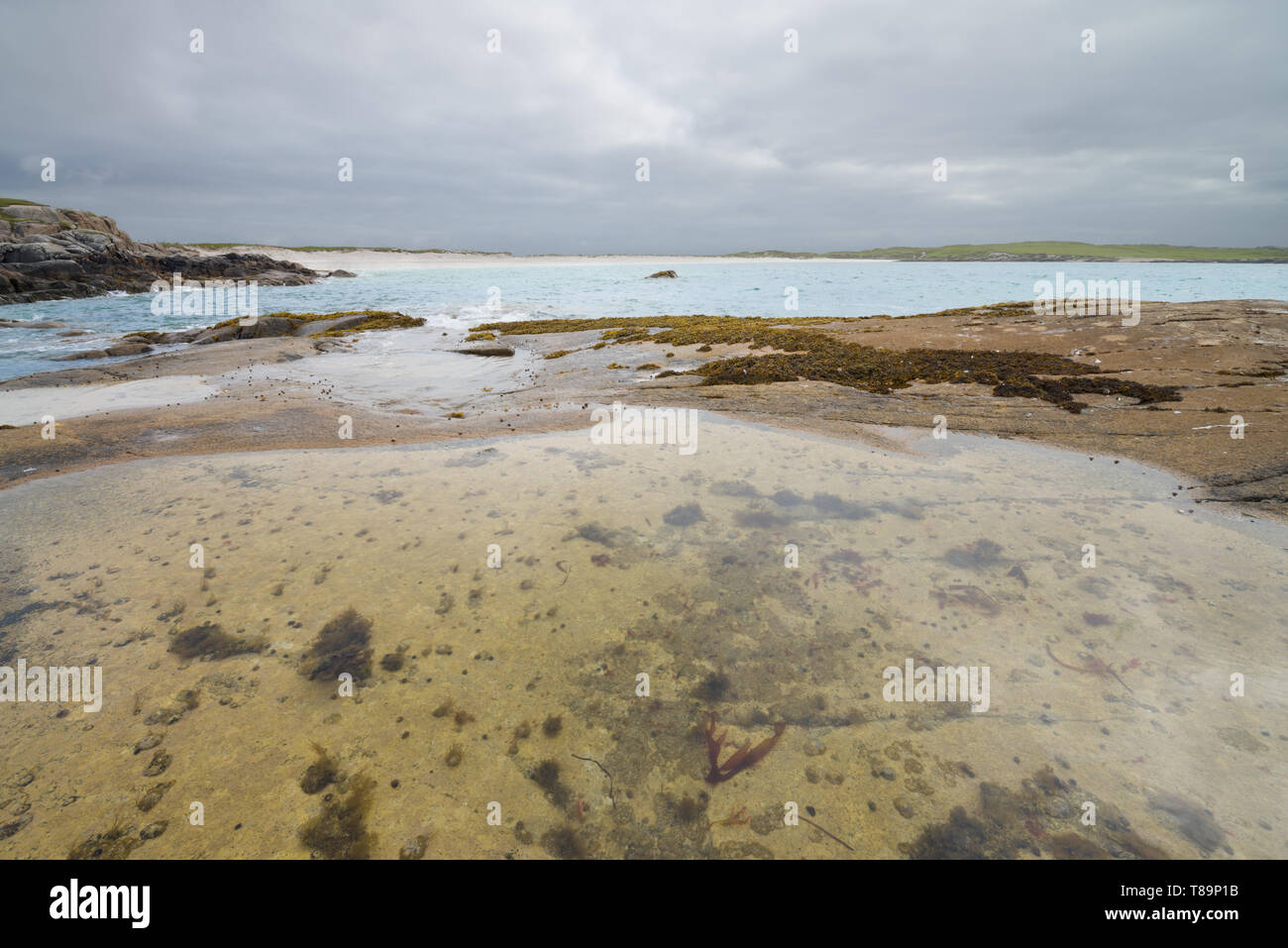 Glassilaun Beach et rochers de grès avec des algues à marée basse. Glassilaun beach est une belle plage de sable blanc située entre la baie de Killary et Renvyle Banque D'Images