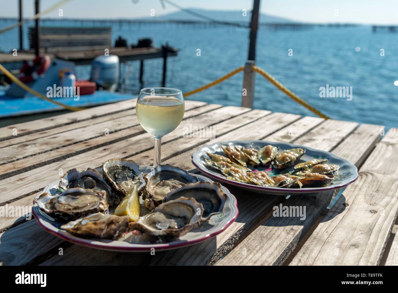 La France, l'Hérault, Loupian, une assiette d'huîtres et un verre de vin blanc avec la lagune de Thau dans l'arrière-plan Banque D'Images