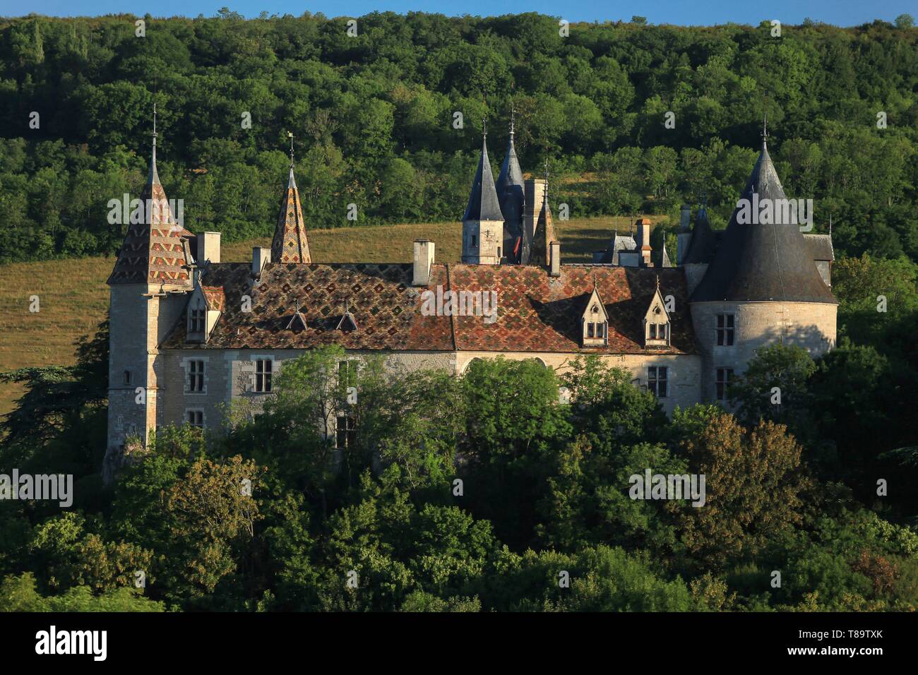 France, Côte d'Or, paysage culturel de climats de Bourgogne classé au Patrimoine Mondial par l'UNESCO, Dijon, le château de la Rochepot et son toit de tuiles vernissées Banque D'Images