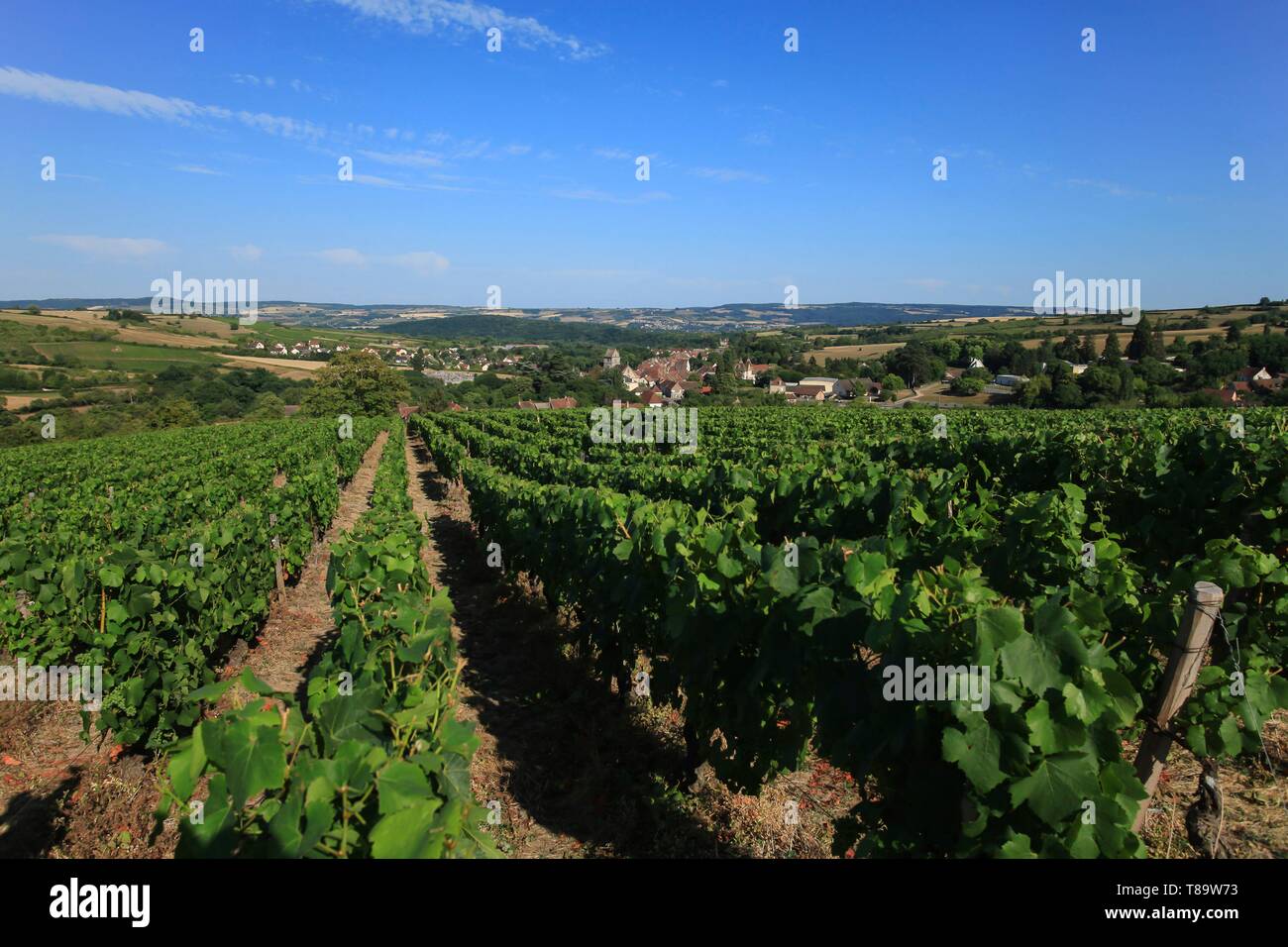 France, Saône et Loire, divans, village de divans au milieu des vignobles, Banque D'Images