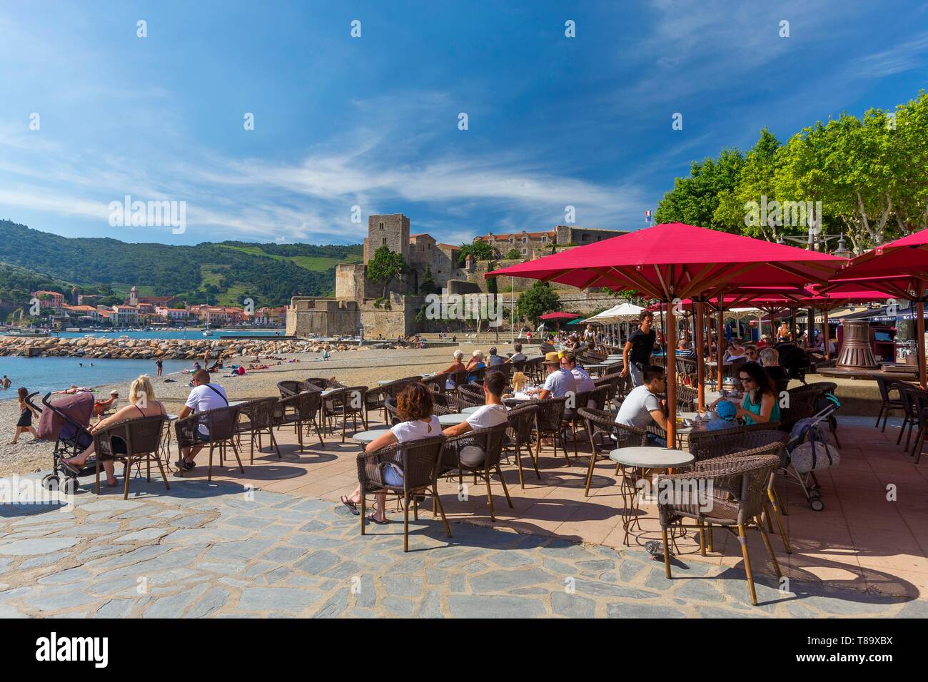 France, Pyrénées Orientales, Collioure, Château Royal Banque D'Images