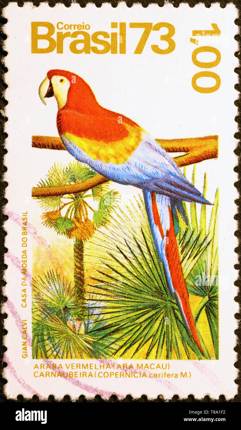 Ara rouge sur timbre brésilien Banque D'Images