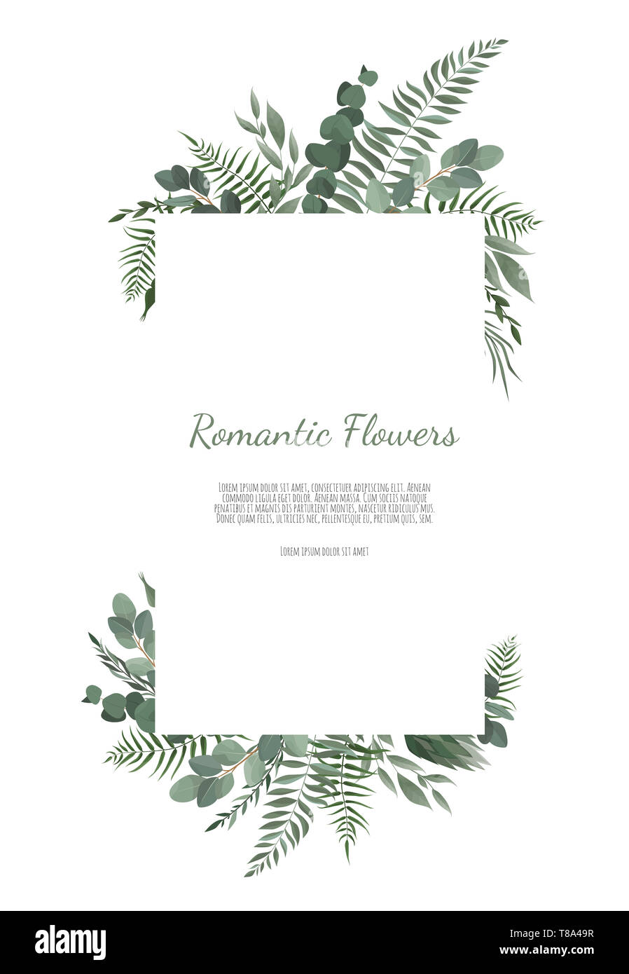 Floral design card. Message d'accueil, inviter mariage carte postale modèle. Cadre élégant avec anémone et rose. Banque D'Images