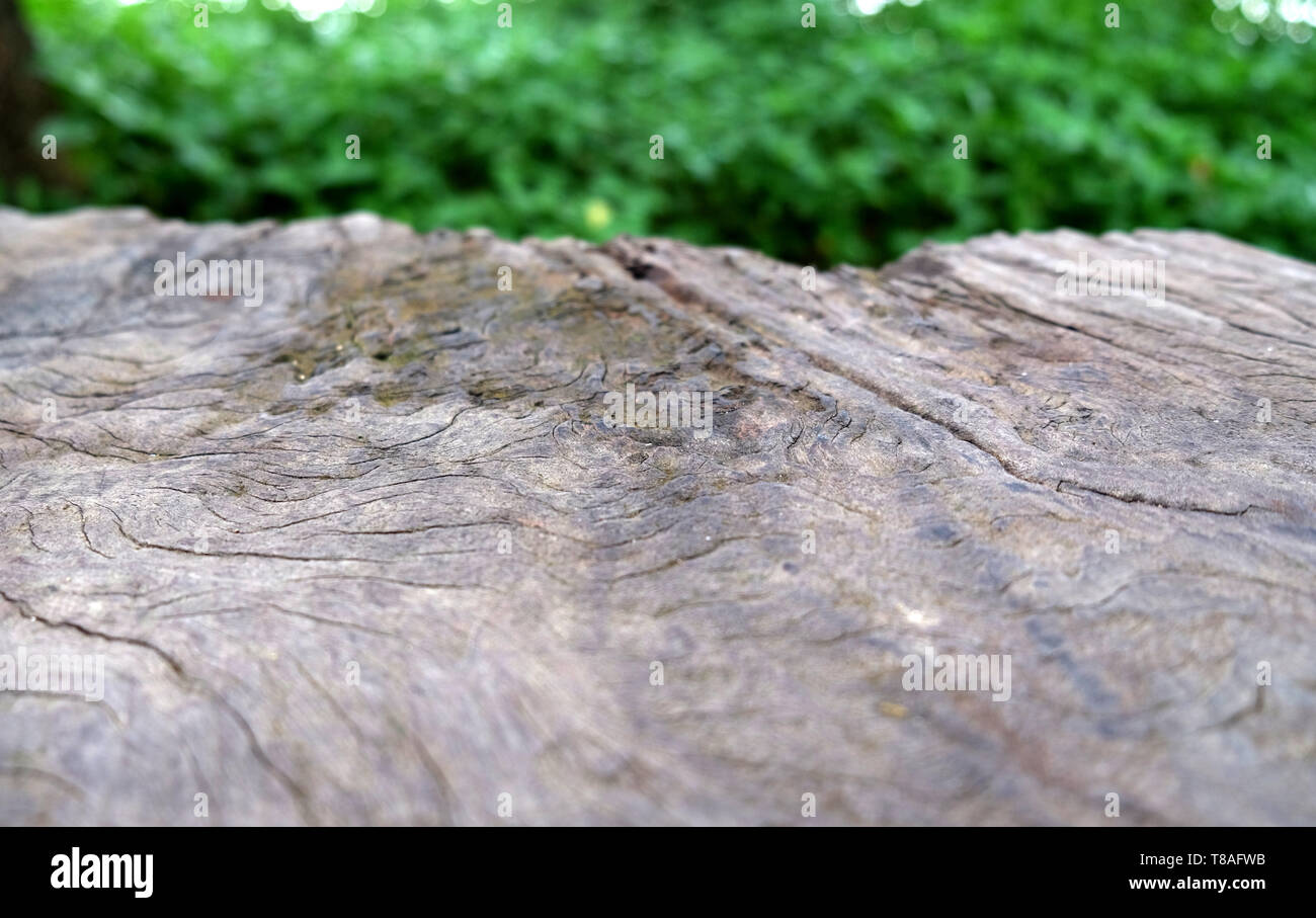 Haut de la table sur bois vide abstrait flou vert de jardin en matinée. arrière-plan peut être utilisé pour l'affichage ou un montage de vos produits Banque D'Images