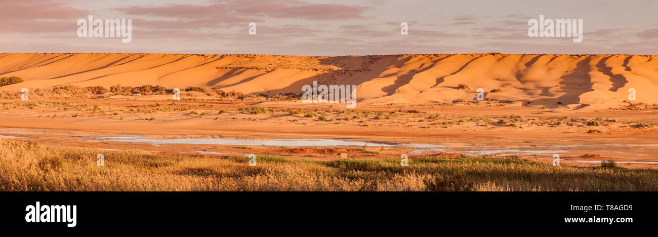 Rivière Saguia el Hamra à Laayoune. Laayoune, Sahara occidental, Maroc. Banque D'Images