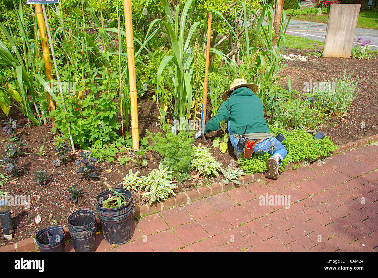 Homme avec chapeau de paille sur le travail au jardin sur les genoux Photo  Stock - Alamy