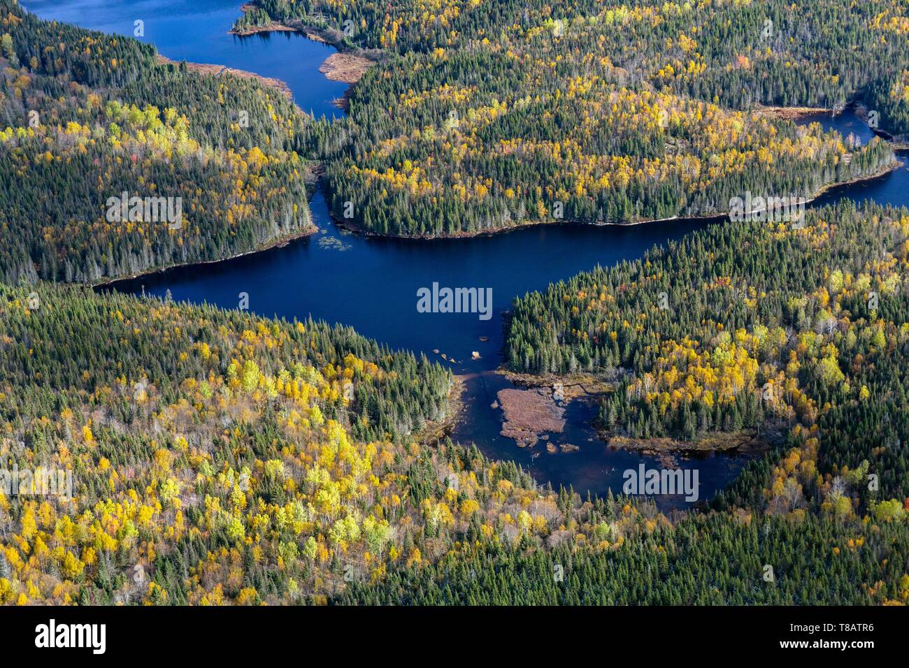 Canada, province de Québec, région de Charlevoix, des lacs au coeur de la forêt boréale (vue aérienne) Banque D'Images