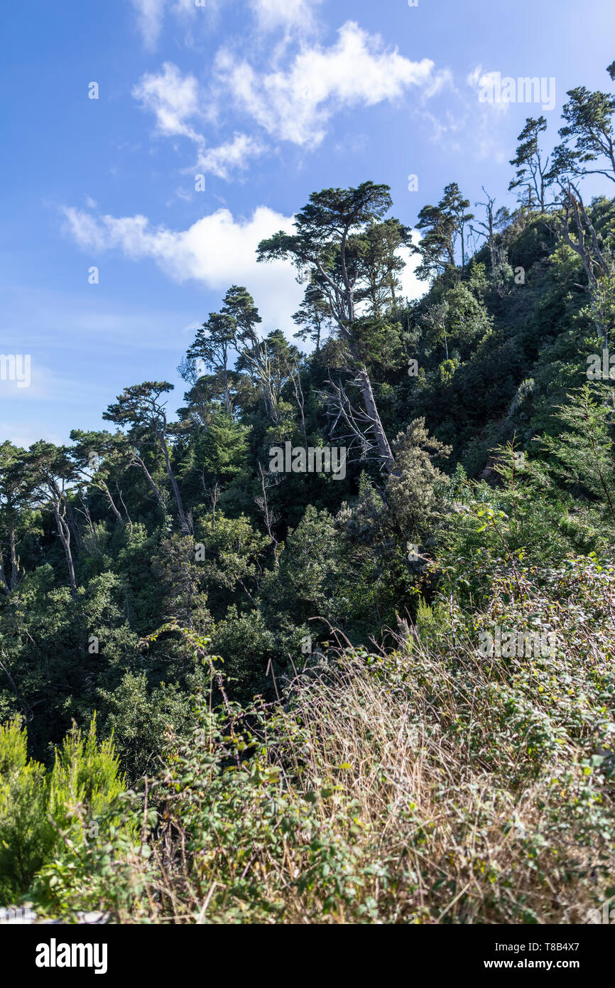 parc-naturel-anaga-banque-de-photographies-et-d-images-haute