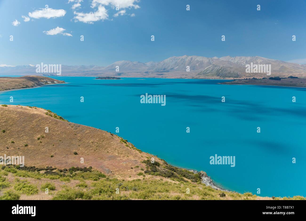 Nouvelle Zélande, île du Sud, région de Canterbury, le lac Tekapo Banque D'Images