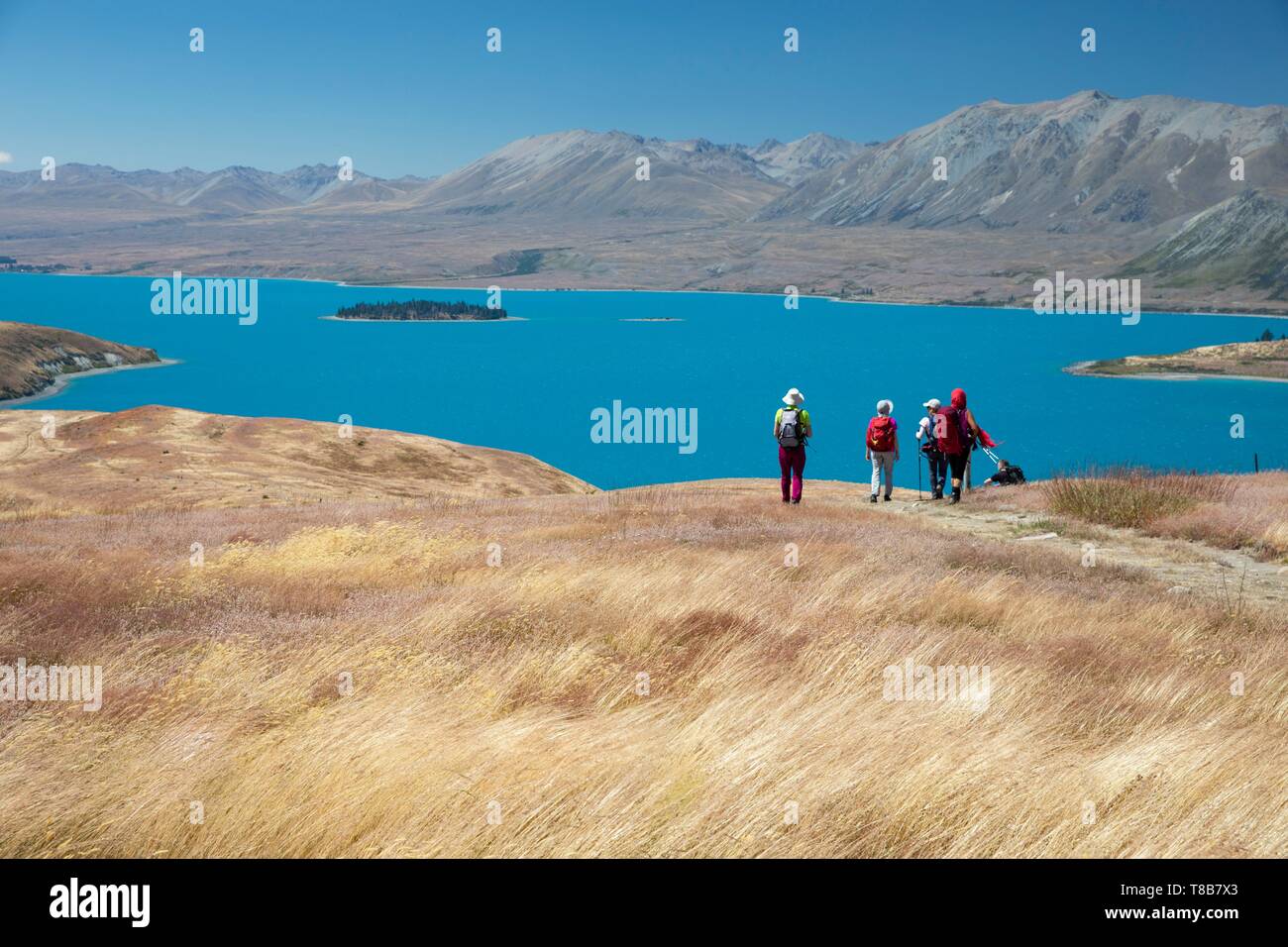 Nouvelle Zélande, île du Sud, région de Canterbury, randonneurs à Tekapo lake Banque D'Images