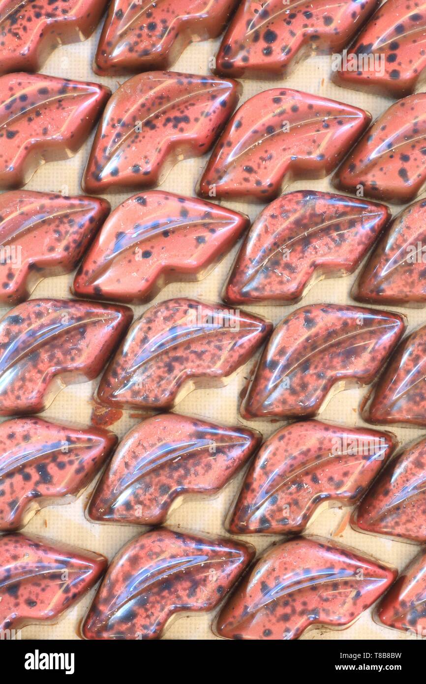 Le Portugal, l'île de Madère, Funchal, chocolatier artisanal Uau Cacau, chocolats en forme de bouche Banque D'Images