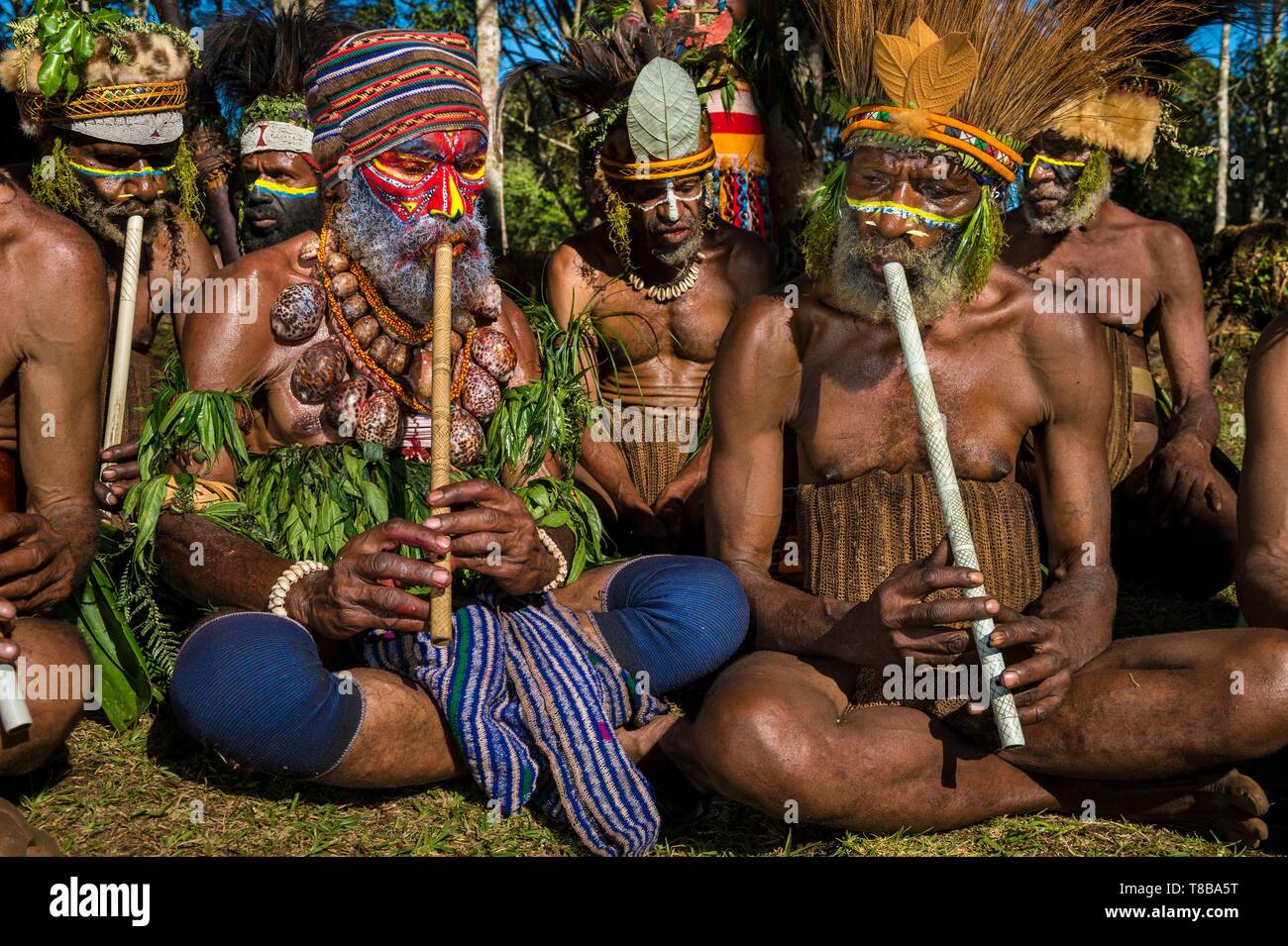 La Papouasie-Nouvelle-Guinée, l'ouest des Highlands Province, Région d'Nebilyer Kaugel Tambul, Alkena village, flûtes musiciens jouant lors d'un sing-sing (danse traditionnelle) Banque D'Images