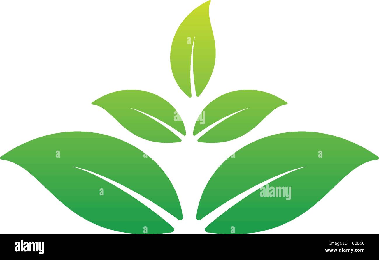 Feuille nature logo design illustration vecteur élément icône Illustration de Vecteur