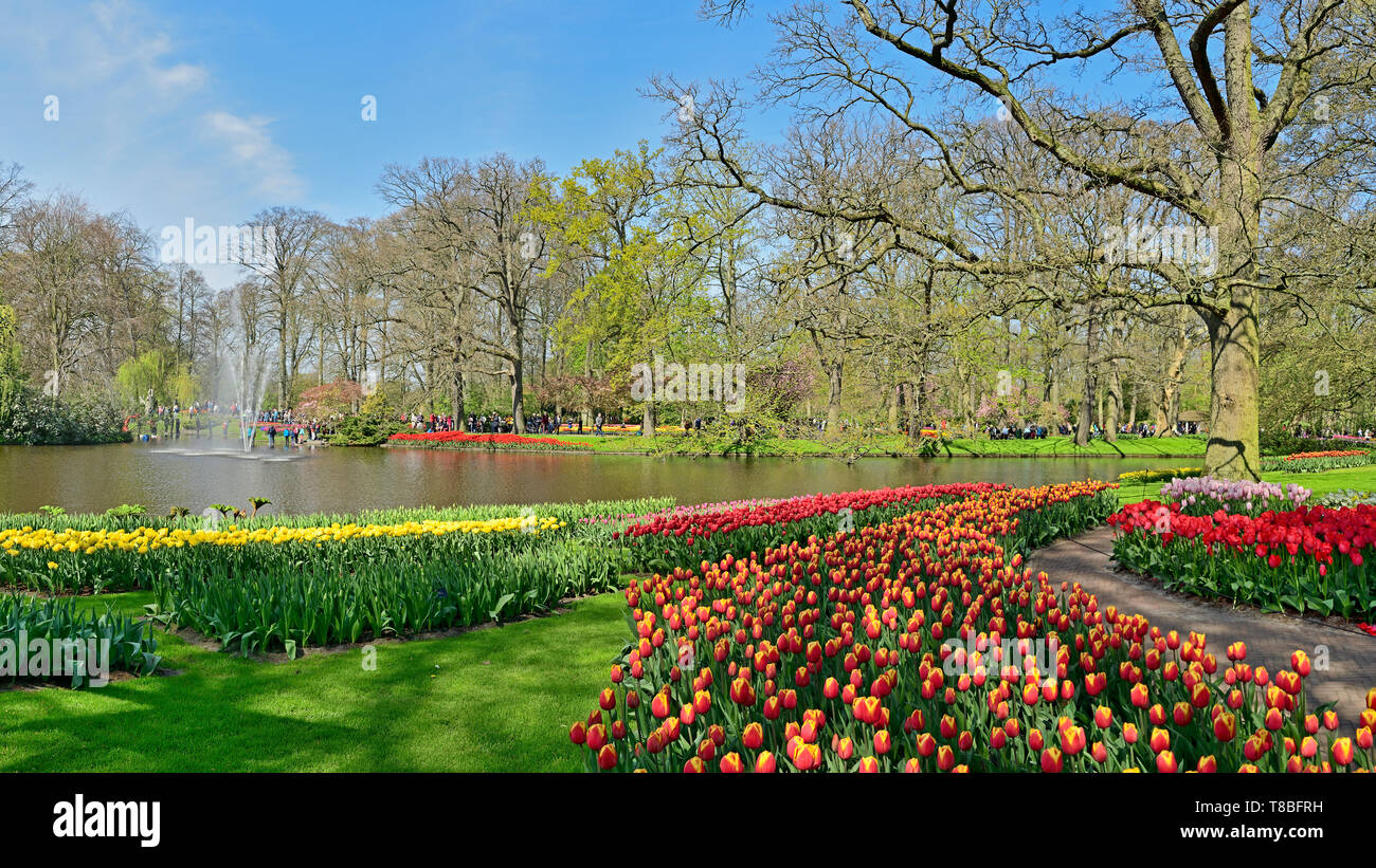 Photographié dans le parc de Keukenhof, en avril 2019, tulipes en fleurs autour du lac Banque D'Images