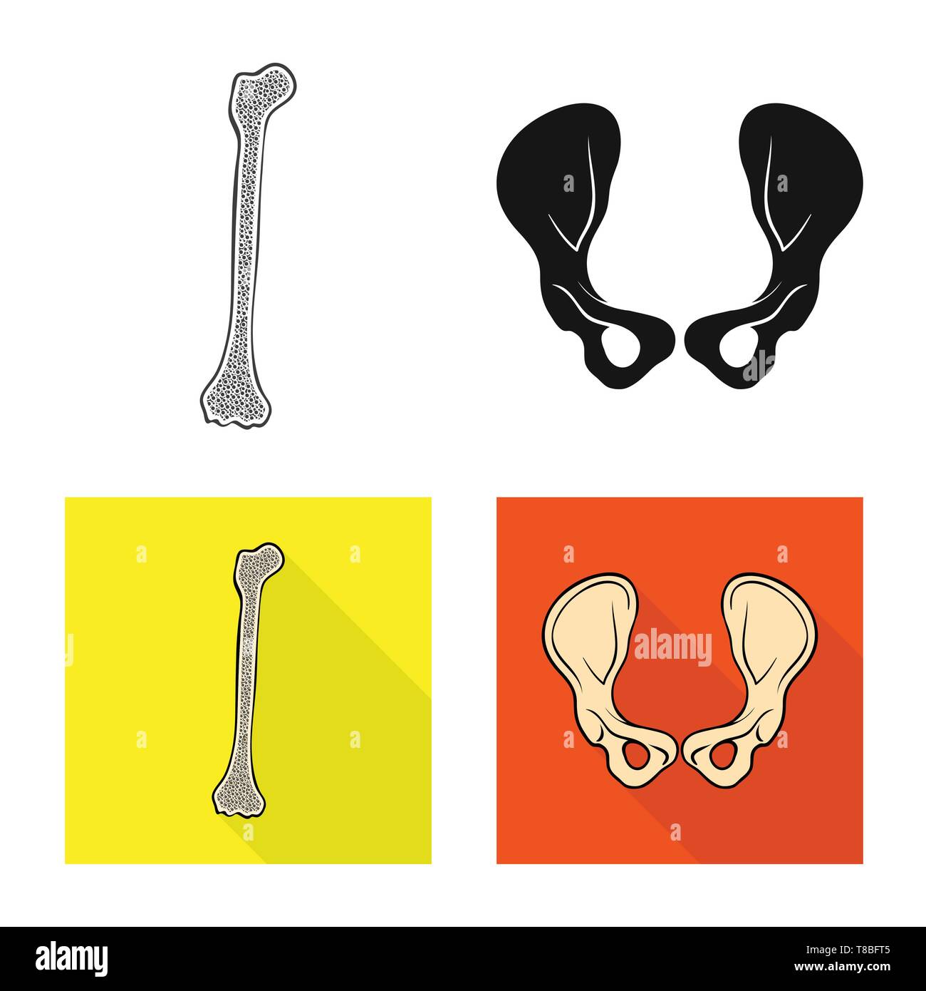 Fémur hanche,,bony,joints,jambe,bassin,chirurgie,genou tibia,sain,péroné,alignement,calcium,joints,mouvement,médecine,clinique,biologie,médical,os,,squelette anatomie,des,organes,,set,icône,,illustration,collection,isolé,design,graphisme,élément,signe, vecteurs vecteur , Illustration de Vecteur